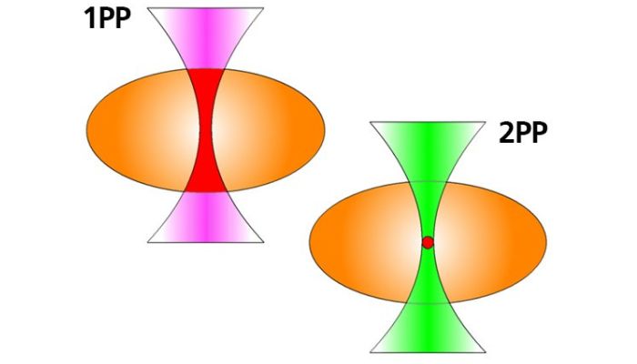 Two-photon polymerization utilizes the effect of two-photon absorption.